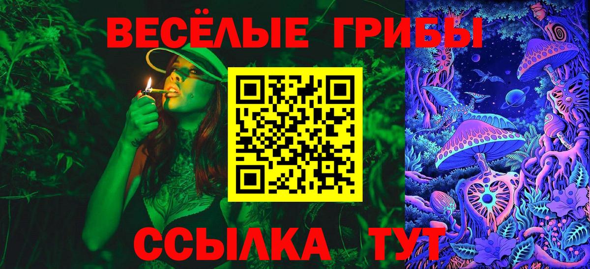 Псилоцибиновые грибы GOLDEN TEACHER  Вход с VPN  Волгодонск 
